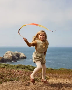 Sarah's Silks Streamers-Mini Desert Streamer